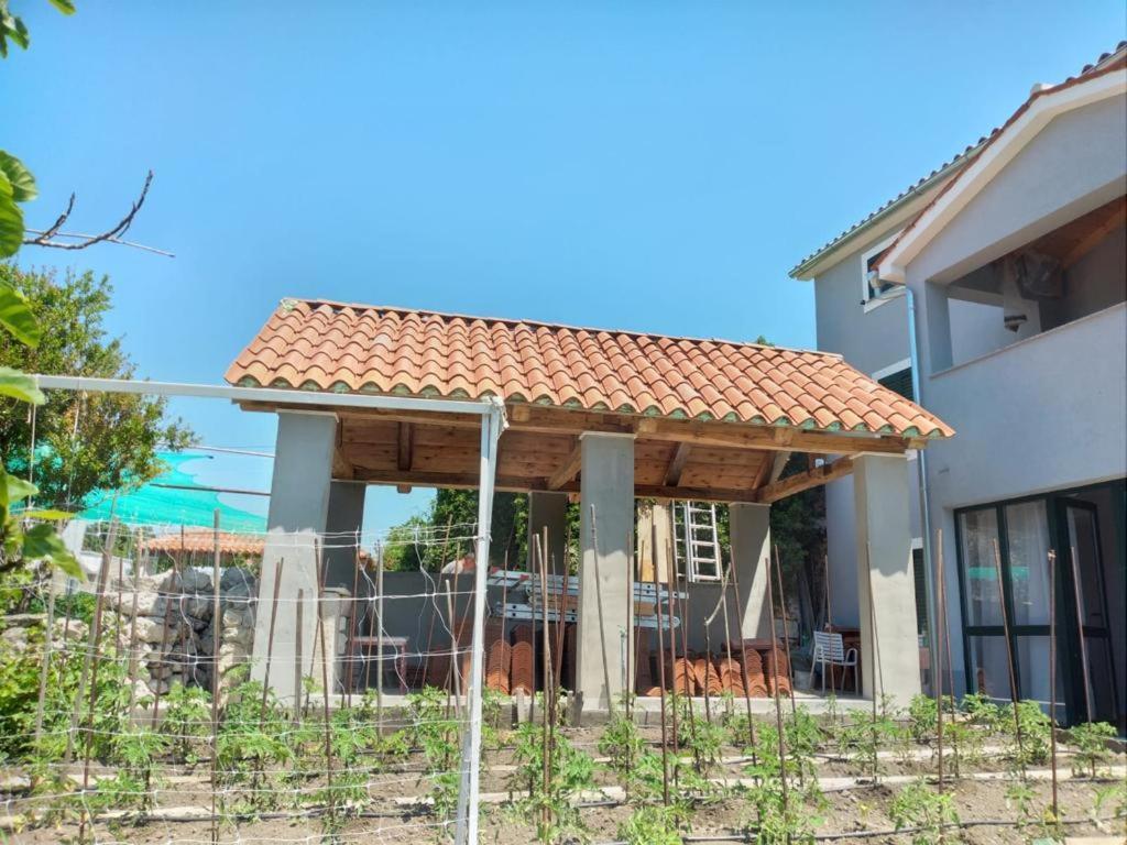 Lavanda 1 * Cres