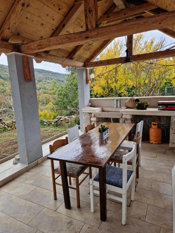 Lavanda 1 * Cres